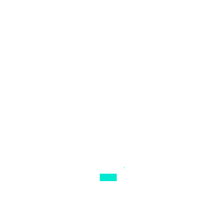 DIGITAL CONSULTING